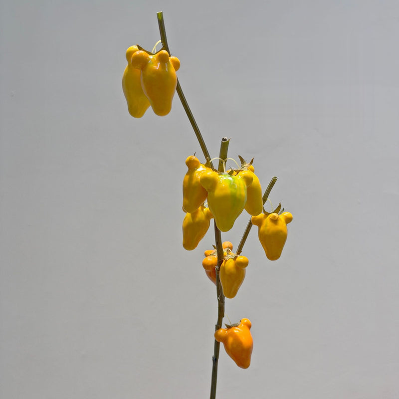Artificial Golden Fruit Bush with 10 Fruits, Faux Citrus Branch, Tall Plastic Foam Stem for Home, Wedding & Display