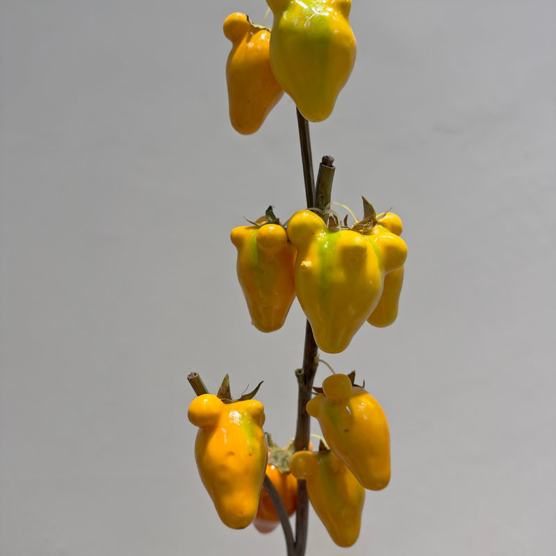 Artificial Golden Fruit Bush with 10 Fruits, Faux Citrus Branch, Tall Plastic Foam Stem for Home, Wedding & Display