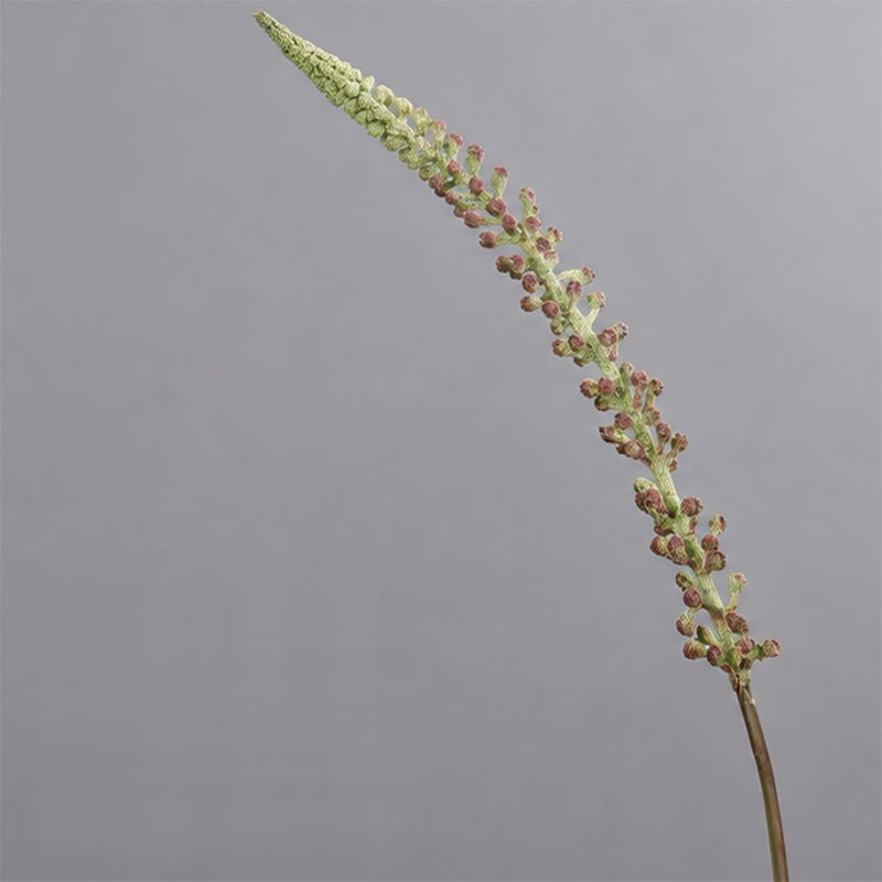 Artificial Foxtail Grass Stem, Faux Horsetail Greenery, Single Plastic Stem for Wedding, Home & Window Display