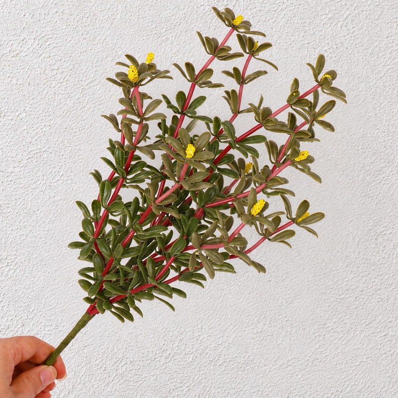 Artificial Purslane Bush, Faux Succulent Greenery Pick, Plastic PE/PVC, Nordic Style, for Wedding, Home Decor & Window Displays