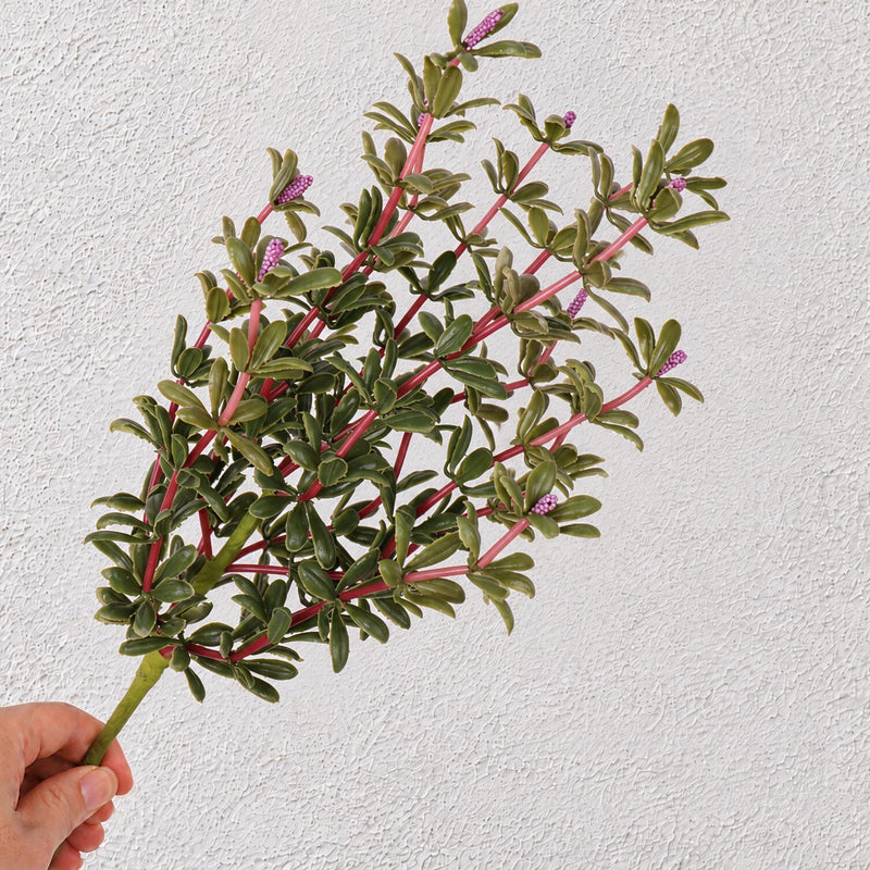 Artificial Purslane Bush, Faux Succulent Greenery Pick, Plastic PE/PVC, Nordic Style, for Wedding, Home Decor & Window Displays