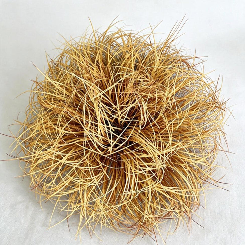 Artificial Foxtail & Onion Grass Clump with Base, Faux Dried Grass Tuft, 1 Piece, Indoor Outdoor Display