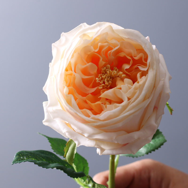 9 Pcs 17 Inch Real Touch Austin Rose Bouquet Artificial Flowers