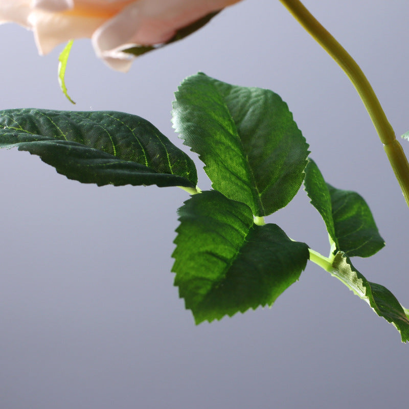 9 Pcs 17 Inch Real Touch Austin Rose Bouquet Artificial Flowers