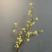 35 Inch Wax Flower Blossom Branch Chamelaucium Uncinatum Silk Artificial Flowers Bulk Quantity