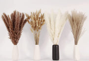 100 Pcs 17 Inch Pampas Grass Bunny Tails Dried Flowers Bulk Artificial Decor