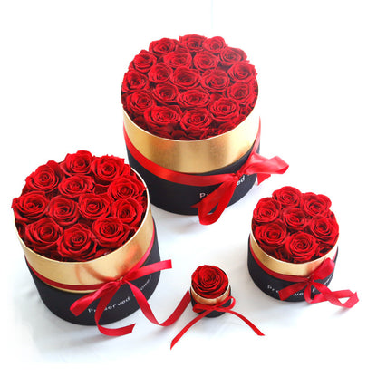 Bulk Preserved Roses in a Box Forever Flowers Gift for Women Valentine's Day Birthday Anniversary Wholesale