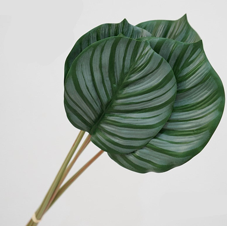 Artificial Calathea Orbifolia Turtle Leaf 6 Stems 22 Inch Tropical Silk Plant