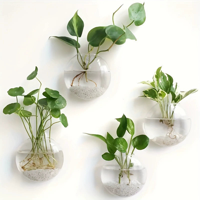 Bulk 4Pcs Wall Hanging Planter Glass Flower Vase Propagation Station for Hydroponic Bathroom Home Office Living Room Decor Wholesale