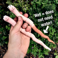 2-Pack Bug-Shaped Plant Moisture Monitors - Potted Plant Humidity Sensors