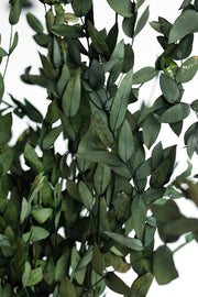 Preserved Eucalyptus Stems Bulk Bundle for Crafts, Natural Green, 10 Pcs, 18 Inch