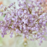 6 Pcs Artificial Gypsophila Baby's Breath Bouquet Bulk Wholesale Silk Flowers