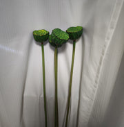 Handmade Faux Lotus Flower Pod Stems, Long, Bulk Quantity, Artificial Floral Stems