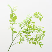 24 Inch Artificial Locust Leaf Plant, Soft Rubber Feel, Bulk Quantity