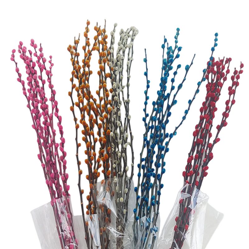 20 Pcs 17 Inch Natural Dried Pussy Willow Branches for Floral Arrangements