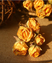 20 Inch Burnt Rose Silk Flowers Artificial Stems 10 Pcs Fall Arrangement Decoration