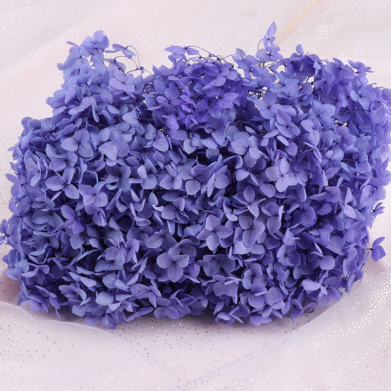 Preserved Large Hydrangea Flowers for Crafts and Arrangements – Bulk Quantity