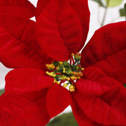 5 Sizes Bulk Artificial Velvet Poinsettia Stems Bushes Silk Christmas Flowers