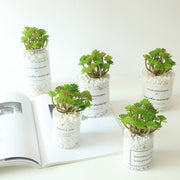 24 Heads Artificial Succulent Plant Bulk Pack for DIY Flower Arrangements and Home Decor