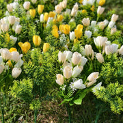 24 Bundles Magnolia Buds Artificial Flowers 11 Inch UV Resistant Silk Spring Plants for Outdoors