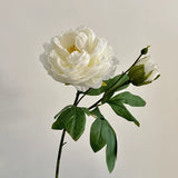 26" Artificial Peony Flower Stem, Faux Peony for Living Room Decor, Table Centerpiece & Home Accent