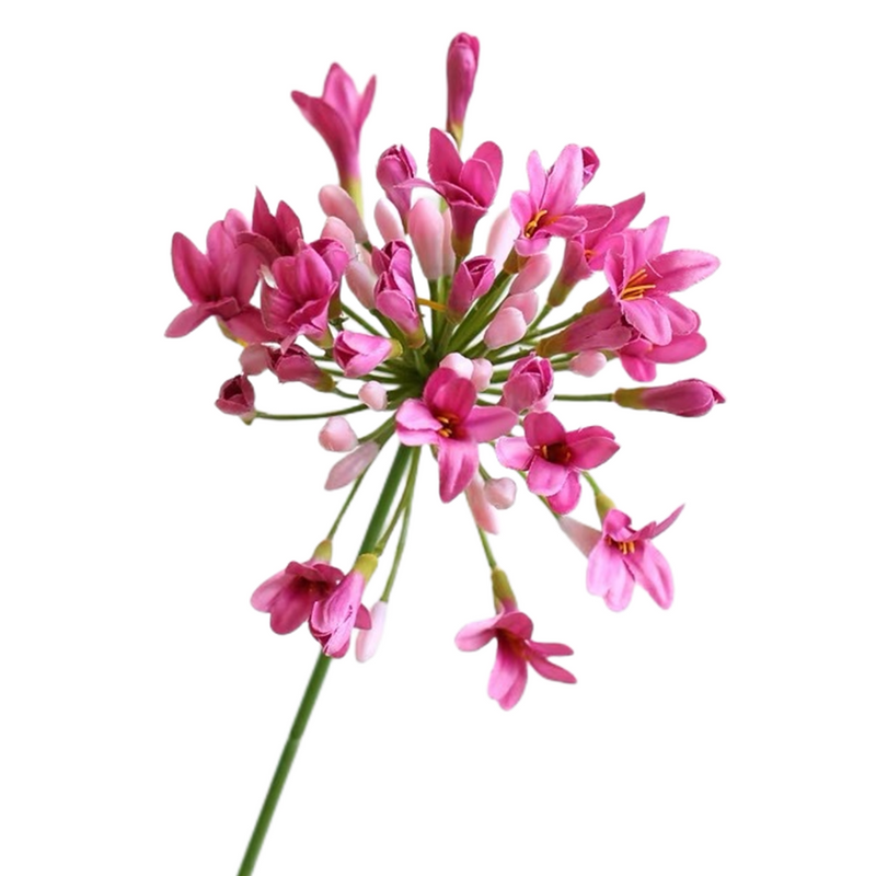 29 Inch Agapanthus Stems Lily of The Nile Flowers 10 Pcs Silk Artificial Bulk