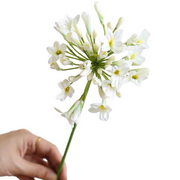 29 Inch Agapanthus Stems Lily of The Nile Flowers 10 Pcs Silk Artificial Bulk