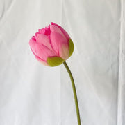 28 Inch Artificial Silk Lotus Bud Lily Stem 10 Pcs Bulk Pack