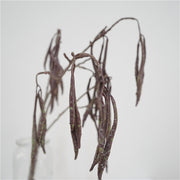 28 Inch Green Artificial Carob Bean Stems Bulk Flower Arrangement 10 Pcs