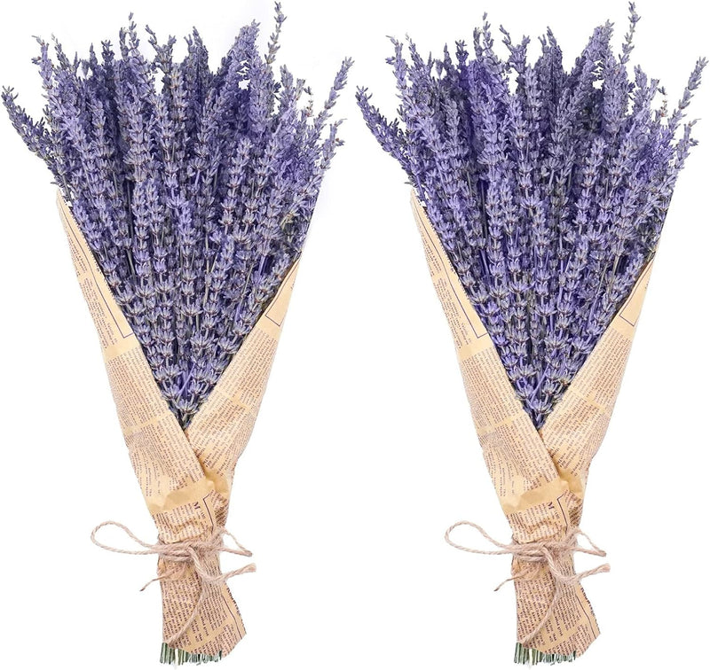 2 Bundles Dried Lavender Stalks, Bulk Natural Purple Dried Flowers for Decor
