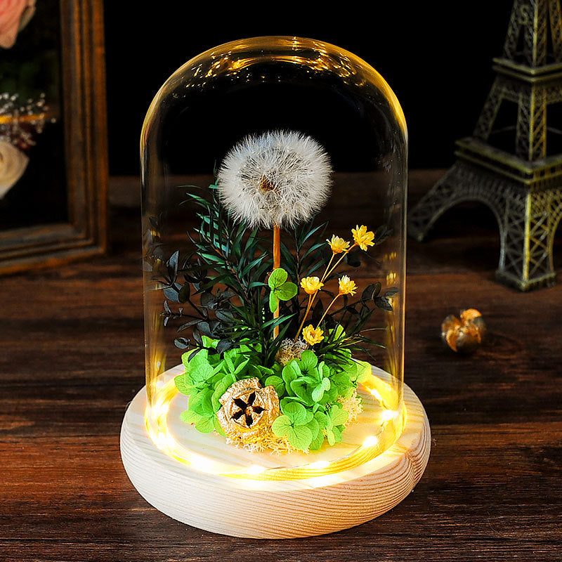 Dried Dandelion Flowers with Glass Cover and Wooden Base Night Light Ornament, Preserved Decorative Piece for Home, Holiday Gift