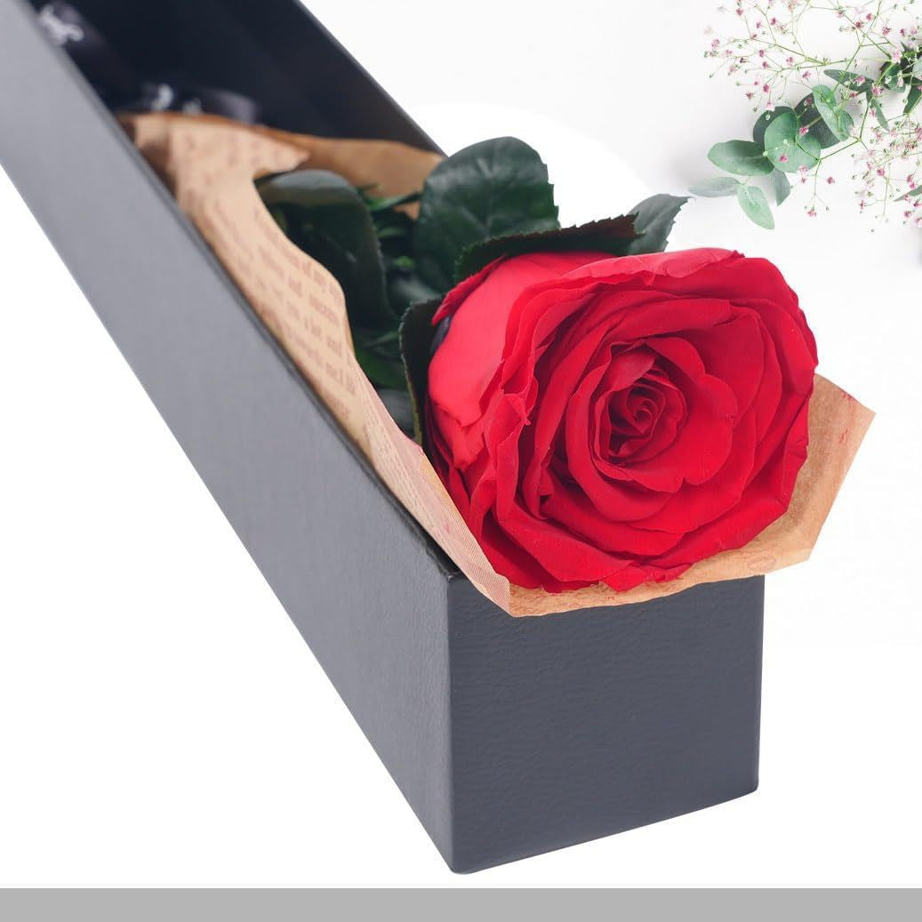 Bulk Red Roses Preserved Flower Gifts for Women Mother's Day Valentine's Day Birthday Anniversary Wholesale