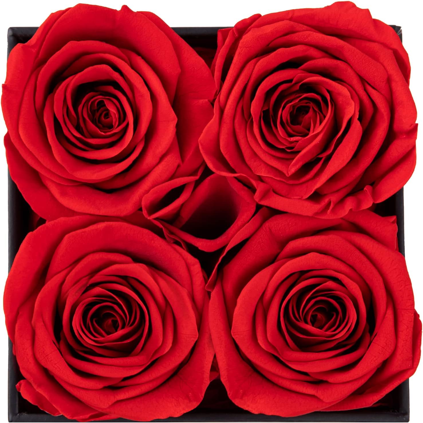 Bulk Preserved Rose in a Box Forever Roses Gift for Valentine's Day Birthday Mother's Day Anniversary Wholesale