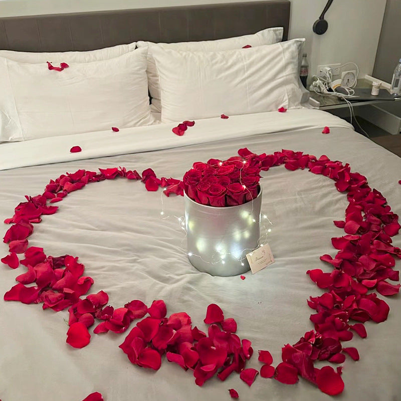 Faux Rose Petals for Wedding Engagement Decorations, Artificial Silk Flower Petals, 200 Pcs
