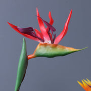 32 Inch Birds of Paradise Stems 10 Pcs Real Touch Latex Artificial Strelitzia Flowers