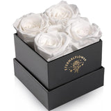 Bulk Preserved Rose in a Box Forever Roses Gift for Valentine's Day Birthday Mother's Day Anniversary Wholesale