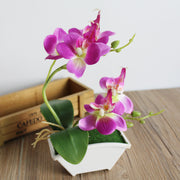 Artificial Orchid Flower Bonsai in Pot, Bulk Quantity, Silk Material, Decorative Indoor Plant