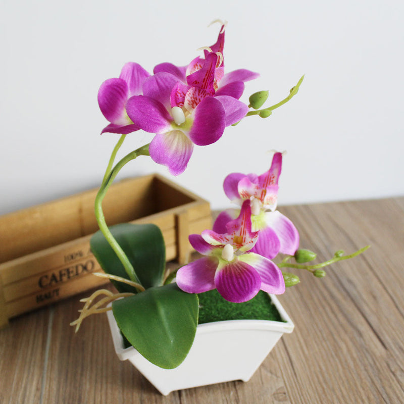 Artificial Orchid Flower Bonsai in Pot, Bulk Quantity, Silk Material, Decorative Indoor Plant