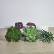 3 Pcs Mini Artificial Succulent Plants in Vase Halloween Decor Bulk Arrangement Gifts