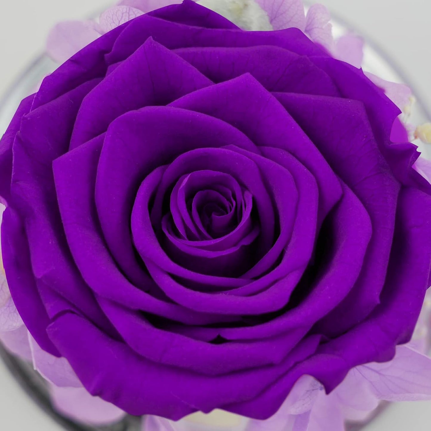 Bulk Praying Angel Rose Figurine with Preserved Flower Gift for Women Mom Grandma Valentine's Day Mother's Day Birthday Wholesale