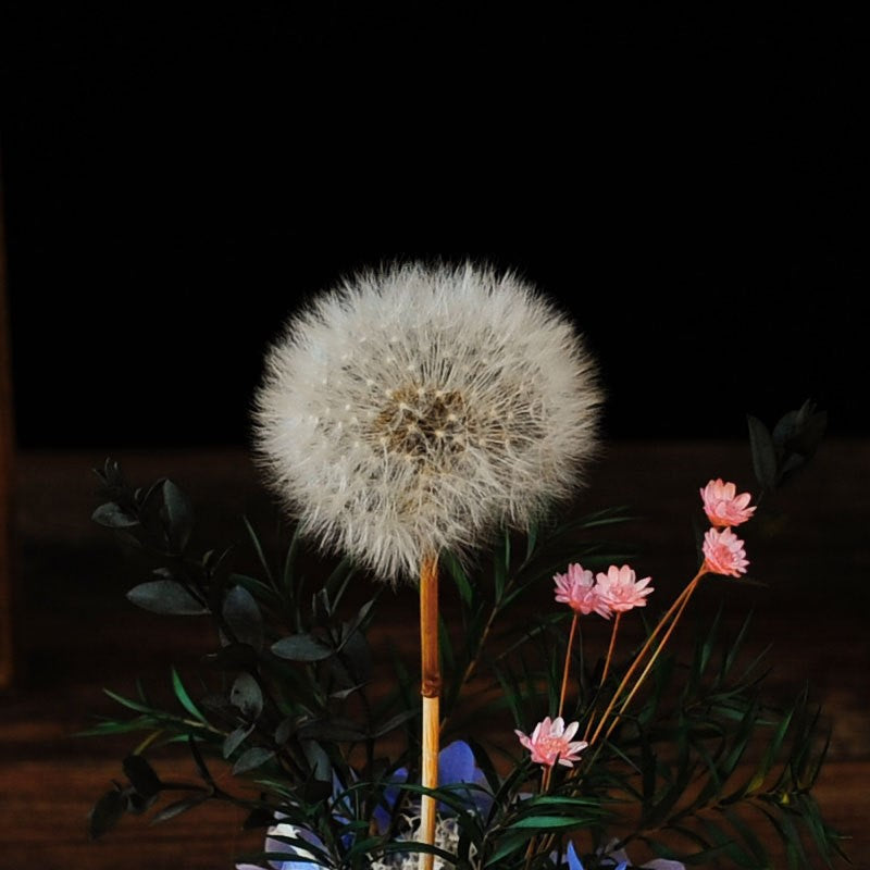 Dried Dandelion Flowers with Glass Cover and Wooden Base Night Light Ornament, Preserved Decorative Piece for Home, Holiday Gift
