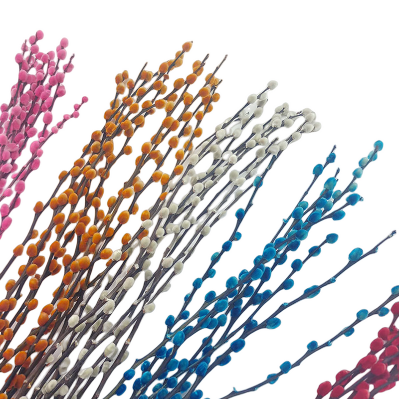 20 Pcs 17 Inch Natural Dried Pussy Willow Branches for Floral Arrangements