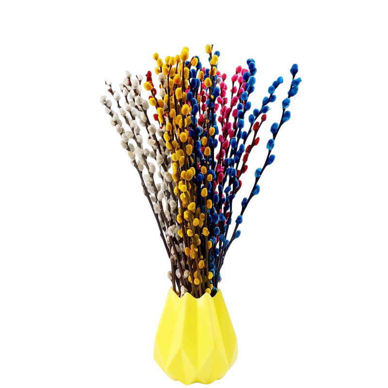 20 Pcs 17 Inch Natural Dried Pussy Willow Branches for Floral Arrangements