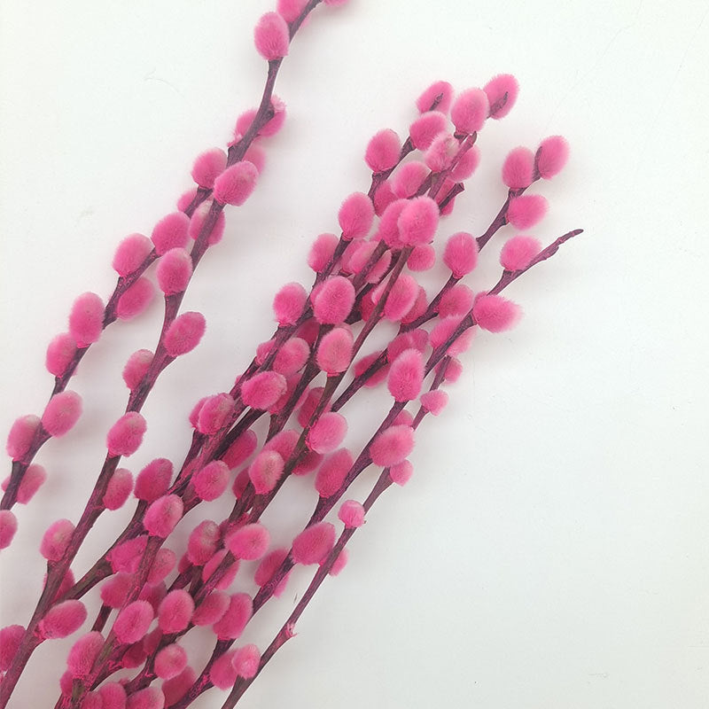 20 Pcs 17 Inch Natural Dried Pussy Willow Branches for Floral Arrangements