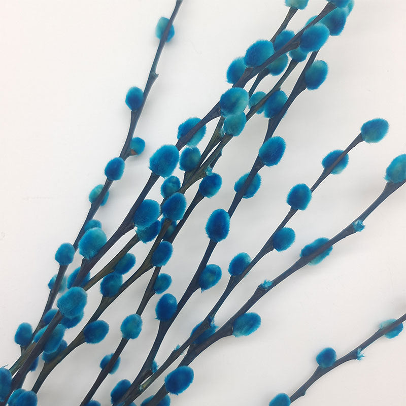 20 Pcs 17 Inch Natural Dried Pussy Willow Branches for Floral Arrangements