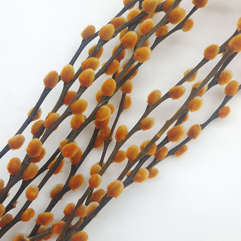 20 Pcs 17 Inch Natural Dried Pussy Willow Branches for Floral Arrangements