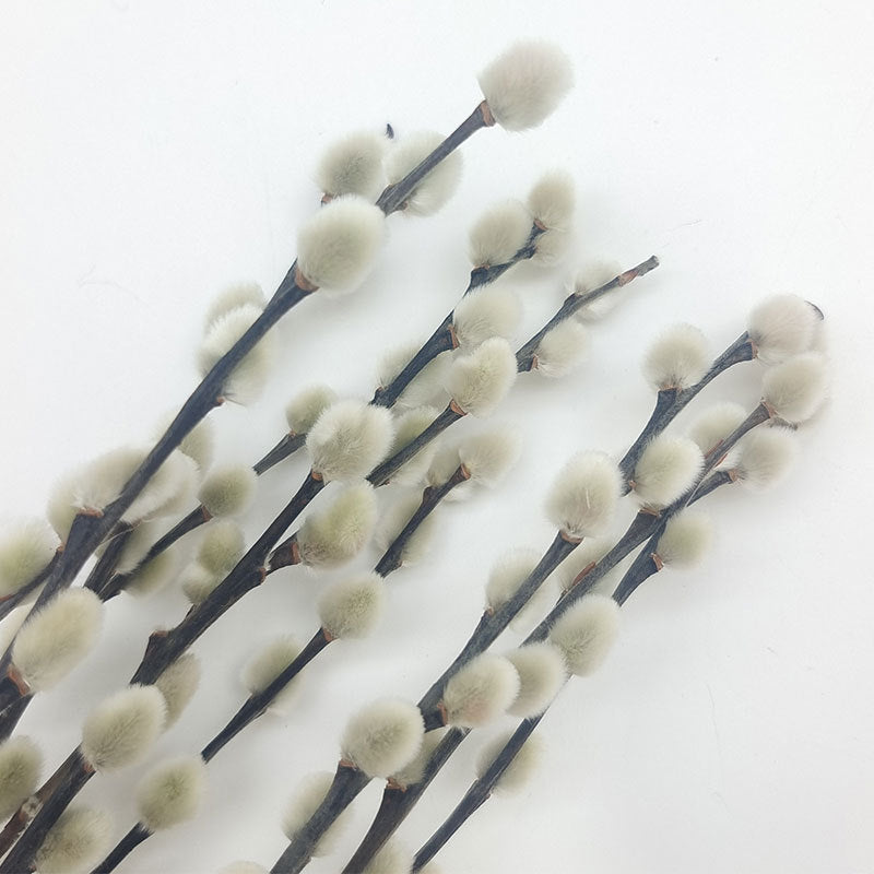 20 Pcs 17 Inch Natural Dried Pussy Willow Branches for Floral Arrangements