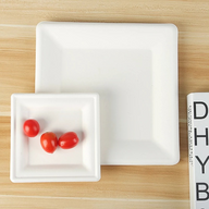 Bulk 50 Pcs White Square Disposable Plates Perfect for Christmas and Thanksgiving Parties Wholesale