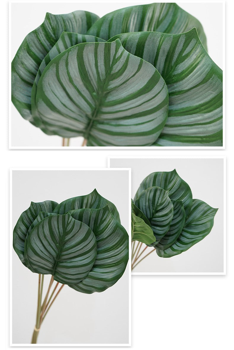 Artificial Calathea Orbifolia Turtle Leaf 6 Stems 22 Inch Tropical Silk Plant