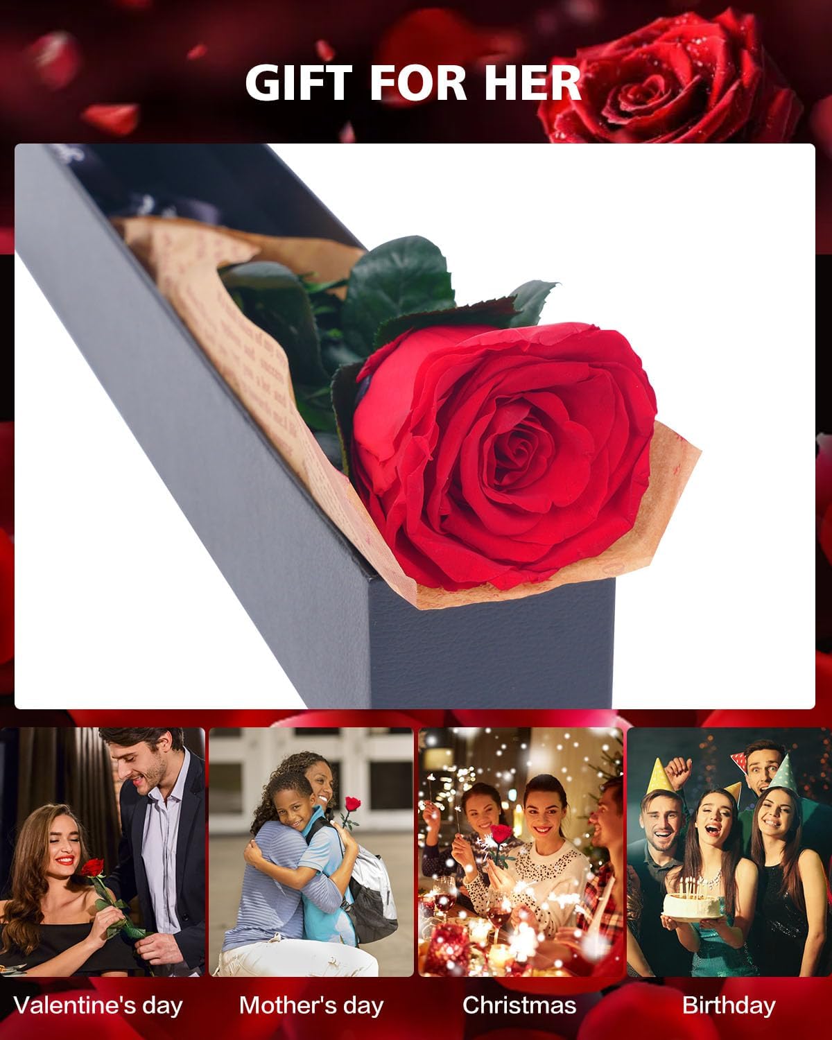 Bulk Red Roses Preserved Flower Gifts for Women Mother's Day Valentine's Day Birthday Anniversary Wholesale